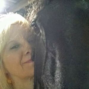 Meet your Posher, Tandy